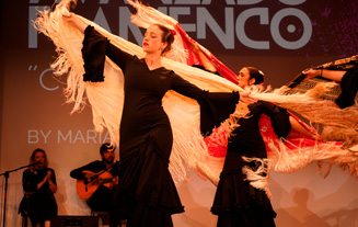 flamenco grid
